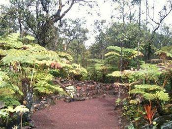 Volcano Rainforest Lodge Exteriér fotografie